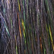 Senyo Fusion Fiber Senyo Fusion Fiber buy online